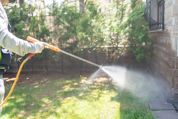 Emergency Pest Control in Mclouth, KS